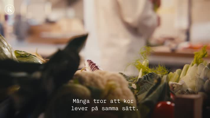 Köttkultur